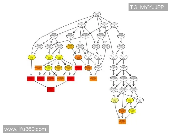 广州排球队选拔赛表现分析与状态评估全面解读